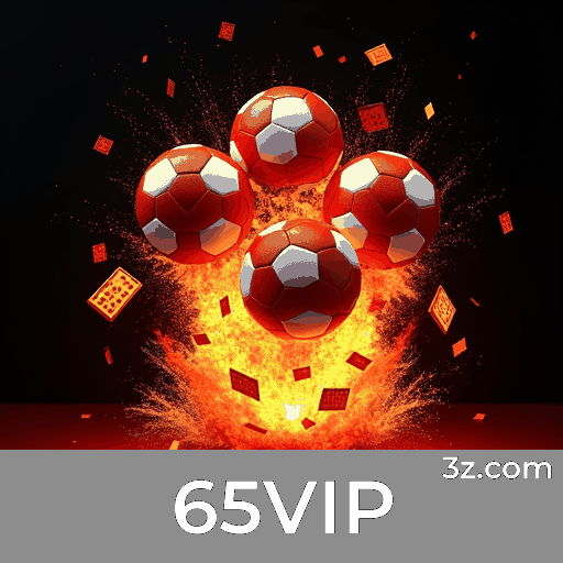 65VIP Logo