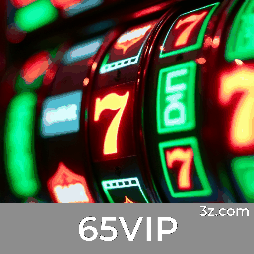 65VIP Logo